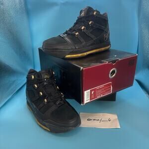 Nike Lebron Zoom III Black Metallic Gold m8.5 w10